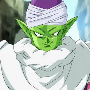 Figuras Piccolo